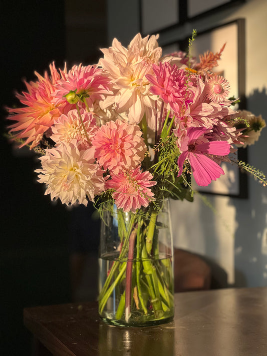 The Taster Bouquet Subscription (4 weeks)