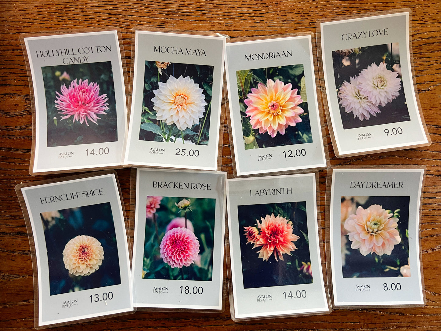 In My Floral Era — Clearance Bundle 05