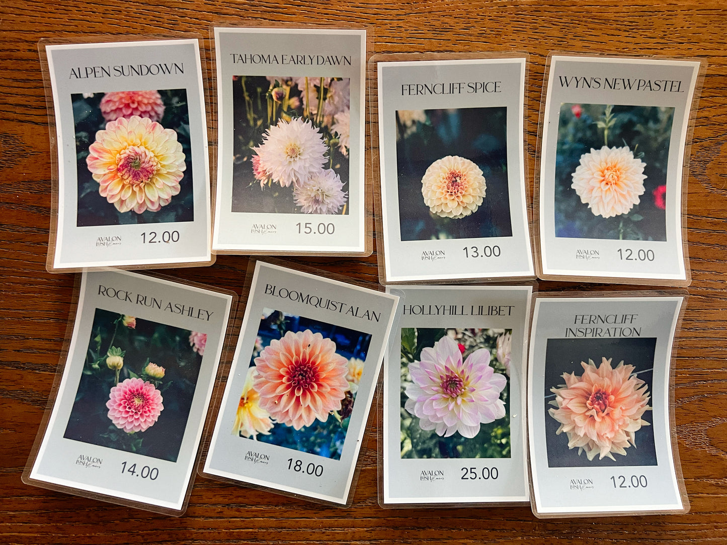 Peachy Keen, Plant Fiend — Clearance Bundle 01