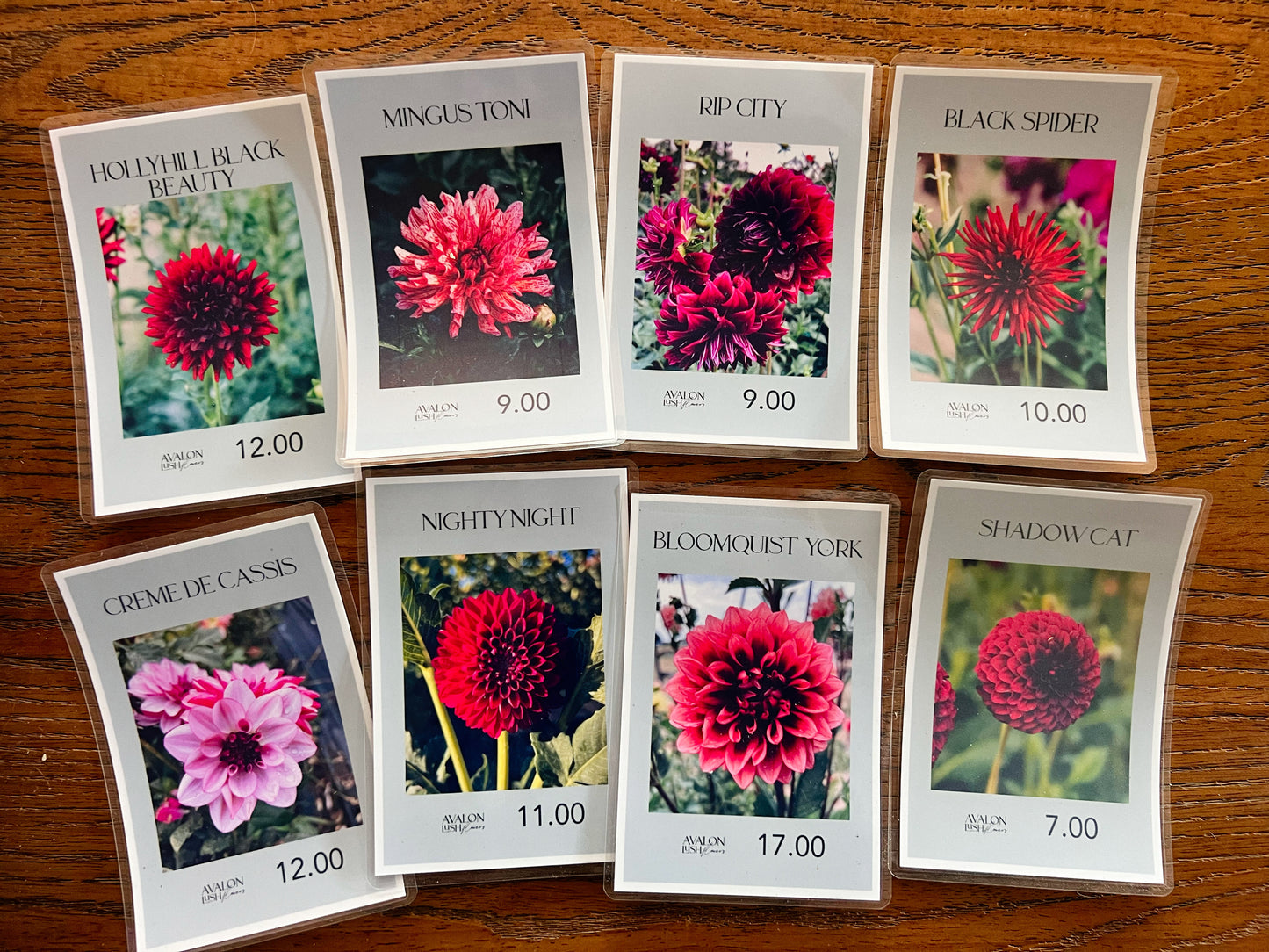 Goth Garden Era — Clearance Bundle 02