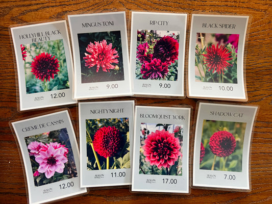 Goth Garden Era — Clearance Bundle 02