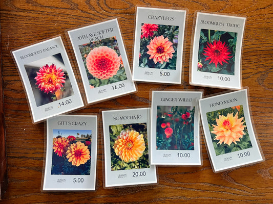 Golden Hour, Every Hour — Clearance Bundle 03